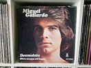 MIGUEL GALLARDO | Desnudate - Otro ocupa mi lugar | Gavilan o paloma | LP VG+