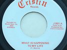 Michigan Soft Psych / Soul 45 - JAMES - What Is Happening To My Life - CRISTIN