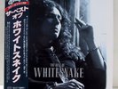 WHITESNAKE THE BEST OF WHITHSNAKE POLYDOR 28MM 0088 JAPAN LP OBI