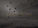 PRIMORDIAL - The Gathering Wilderness  DLP  BLACK