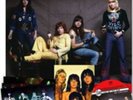 The Sweet-Fox On the Run  Vinyl / 12