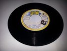 HARRY J/RED GREEN & GOLD - RODULPH MOWATT [ROOTS REGGAE]  7