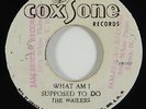 Wailers 