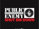 Serato Public Enemy Shut Em Down Vinyl (pair) DJ Control Tone Pic Disc Sealed