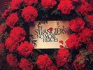 STRANGLERS 