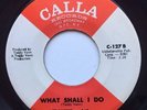 Northern Soul 45 Frankie And The Classicals What Shall I Do