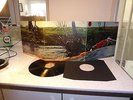 SPRING SPRING RCA NEON UK ORIG LP PROG MONSTER  PENNY START NO RESERVE RARE