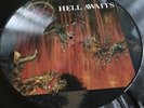 SLAYER Hell Awaits Picture Disc Rare
