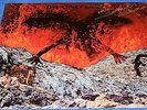 The Only Ones Even Serpents Shine UK LP 1st Press CBS 83451 1979 VG+/EX