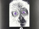 E.A. Poe - Generazioni (Storia Di Sempre) LP Vinyl