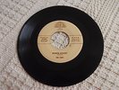 THE CHIPS  RUBBER BISCUIT/OH MY DARLIN  JOSIE 803