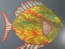 CHAPMAN, Michael - Fish - Vinyl (LP)