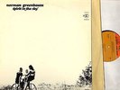 NORMAN GREENBAUM spirit in the sky LP EX+/EX RS 6365 with inner usa reprise 1969