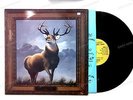 Killdozer - Twelve Point Buck UK LP 1989 + Innerbag //1