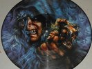 WARLOCK - TRIUMPH AND AGONY - PICTURE DISC - DE 87