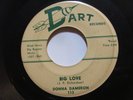 Donna Dameron - Bopper 486609/ Big Love - RARE ROCKABILLY *HEAR*