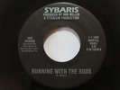 Sybaris - Running With The Rods/ Summers Gone - Rare Rock 45 - *HEAR