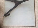 Wishbone Ash Vinyl