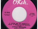 LITTLE RICHARD A Little Bit Of Something 7