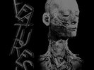 LP FEATURES X- FEATURES VINYL POST PUNK FYING NUN