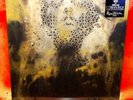 Converge: Jane Live Thomas Hooper Cloudy Clear Vinyl LP/500 OOP. Axe To Fall NEW