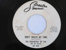 DAUGHTERS OF EVE Don't Waste My Time / He Cried Spectra Chicago Girl Garage 45