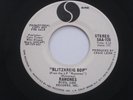 RAMONES Blitzkreig Bop Sire WLP Promo Punk Blank Label 45 HEAR