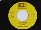 SUNSHINE REIGNS Acelia Dulfin MBM Moody Psych 45 HEAR