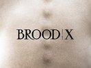 Boss Hog - Brood X [New Vinyl LP]