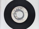 OLYMPIC/ PUSH IT UP  -  THE TERMITES  (68 ROCKSTEADY  7