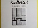 REALLY RED - Teaching You the Fear (rare 1st pressing vinyl LP on C.I.A.) VG+/EX