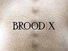 Boss Hog - Brood X [New Vinyl LP]