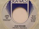 Peter Davis “Star Rocker / Mary Anne” RARE PRIVATE HARD ROCK AOR  7” 45