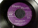 HURON VALLEY BOYS  RARE MICHIGAN HILLBILLY GOSPEL BLUEGRASS 45 HAPPY HEARTS Hear