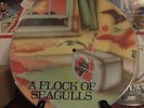 A FLOCK OF SEAGULLS  Picture Disc 12' LP Limited Edition RARE
