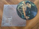 JUAN GABRIEL TODO 1983 RARE MEXICAN PICTURE DISC LP 33RPM 12” NO VALE LA PENA