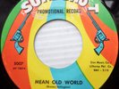 LISA RICHARDS northern soul girl group r&b 45 MEAN OLD WORLD TAKE A CHANCE JR451