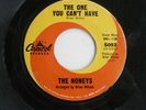 The Honeys Brian Wilson Family Beach Boys CA Surf Girl Group Rare 45 Record 1963