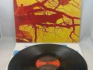 WISHBONE ASH - 