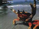 Fat Of The Land - Prodigy LP Vinile BB (XL REC.)