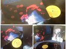 2 LP VASCO ROSSI FRONTE DEL PALCO LIVE 1990 EMI STAMPA ITALIANA APRIBILE Perfect