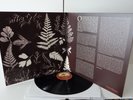 NM/NM Susan Christie -Paint a Lady Unreleased 60s Psych Country Folk LP in 2006