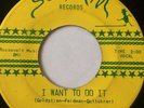 RARE DOO-WOP GARAGE 45/ THE MAJORS 