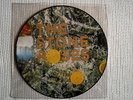 THE STONE ROSES - 