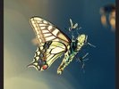 Amon Tobin-ISAM  VINYL NEW