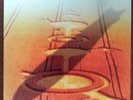 Led Zeppelin 1990  6 LP BOX SET w/ HYPE STICKER in box