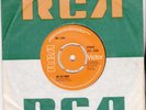 THE JOOK--OO OO RUDI--RCA 2368- (JOHNS CHILDREN)-**RARE**1973