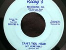 THE OUTCRY Can't You Hear RILEY'S Michigan Fuzz Garage LISTEN