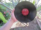 THE CRICKETS BUDDY HOLLY THAT’LL BE THE DAY 10 inch 78