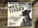 DANE STURGEON Wild n Tender Private Folk Rock LP